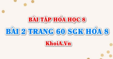 Bài 2 trang 60 SGK Hóa 8: Phản ứng hóa học, phương trình hóa học, định luật bảo toàn khối lượng